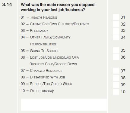 Statistics South Africa 30 P0211 Question 3.14 Main reason you stopped working (Q314RSNSTOPWRK) (@66 2.
