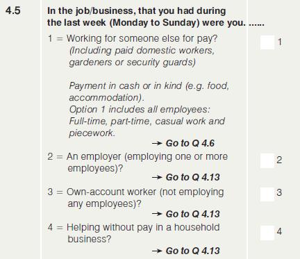 Statistics South Africa 41 P0211 Question 4.5 Main work (Q45WRK4WHOM) (@100 1.) This question establishes whether people were employers, wage earners, self-employed, etc.