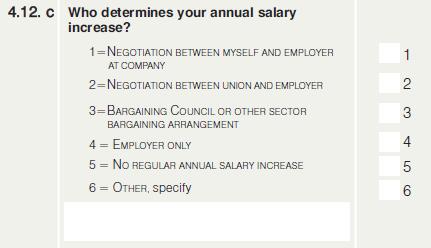 Statistics South Africa 48 P0211 This question is aimed at finding out if employees have a say or are consulted in the determination of their annual salary increase or not.