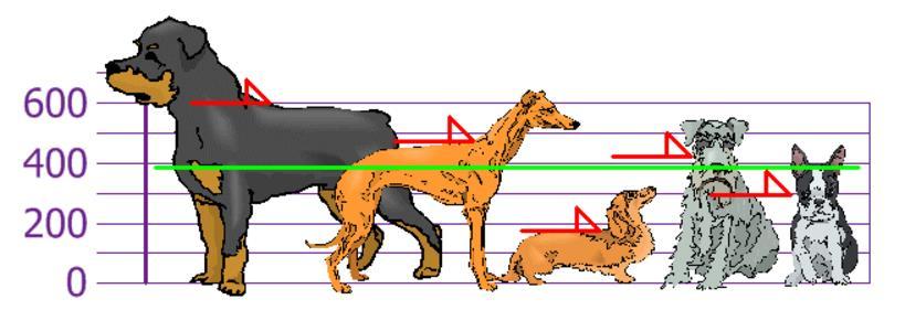 Sample of Dogs Range R = x max x min Range = 600-170 = 430 Average height of a dog (measured by