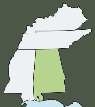 ALABAMA Budget Report Card ALABAMA S ARY PRACTICES are among the nation s weakest.