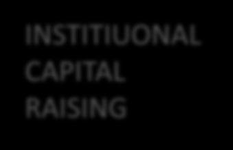 THE CAPITAL RAISING EXPLAINED INSTITIUONAL CAPITAL RAISING SHARES TO BE ISSUED To fund the transaction, Enzumo will issue: - 33.