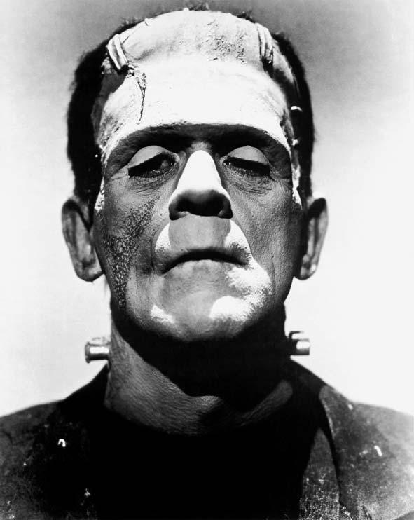 The Fiscal Policy Council = A Frankenstein s monster?
