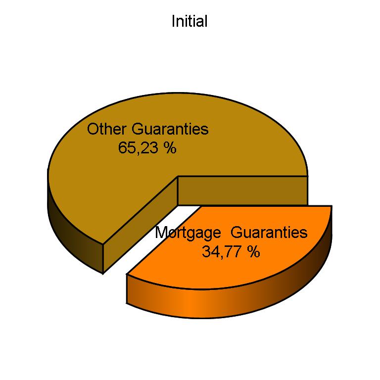 Type of Guaranty Type of Number Of Loans Balance ( ) Balance (%) Guaranty Initial Current Arrears Default Initial Current Arrears Default Initial Current Arrears Default Mortgage Guaranties 479 401