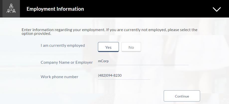 2.7 Employment Information In this section you are required to enter basic details of your employment such as company/employer name and work phone number.