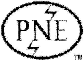 PNE INDUSTRIES LTD (Company registration no.
