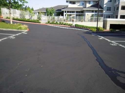 Component: Asphalt Resurface Comments: Fair condition with no cracking or settling observed. We suggest a seal coat every five years to obtain maximum life of asphalt surface.