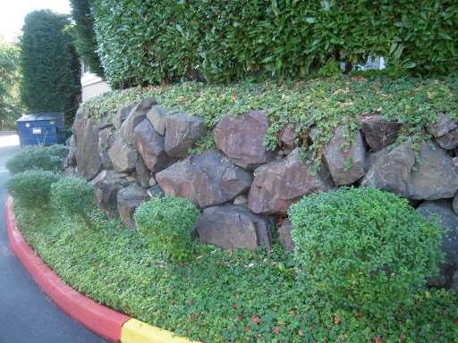 Component: Retaining Walls Replace Comments: Retaining walls appear to be in stable condition with no significant erosion noted.