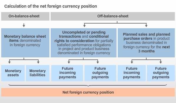 Detail: Determination of the Net Foreign Currency Position Explanation As stipulated by the Siemens Corporate Currency Guideline the determination of the net foreign currency position per currency is