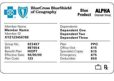 area. For example, BCBS of X member travels to the northeastern New York area and receives care from BlueShield of