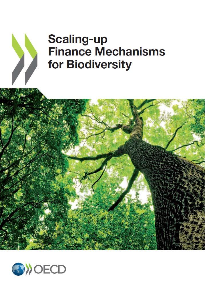 and the wider picture: 2013 CBD strategic plan to 2020: mobilisation of financial resources for implementing biodiversity targets Mainstreaming biodiversity in public finance and fiscal transfer