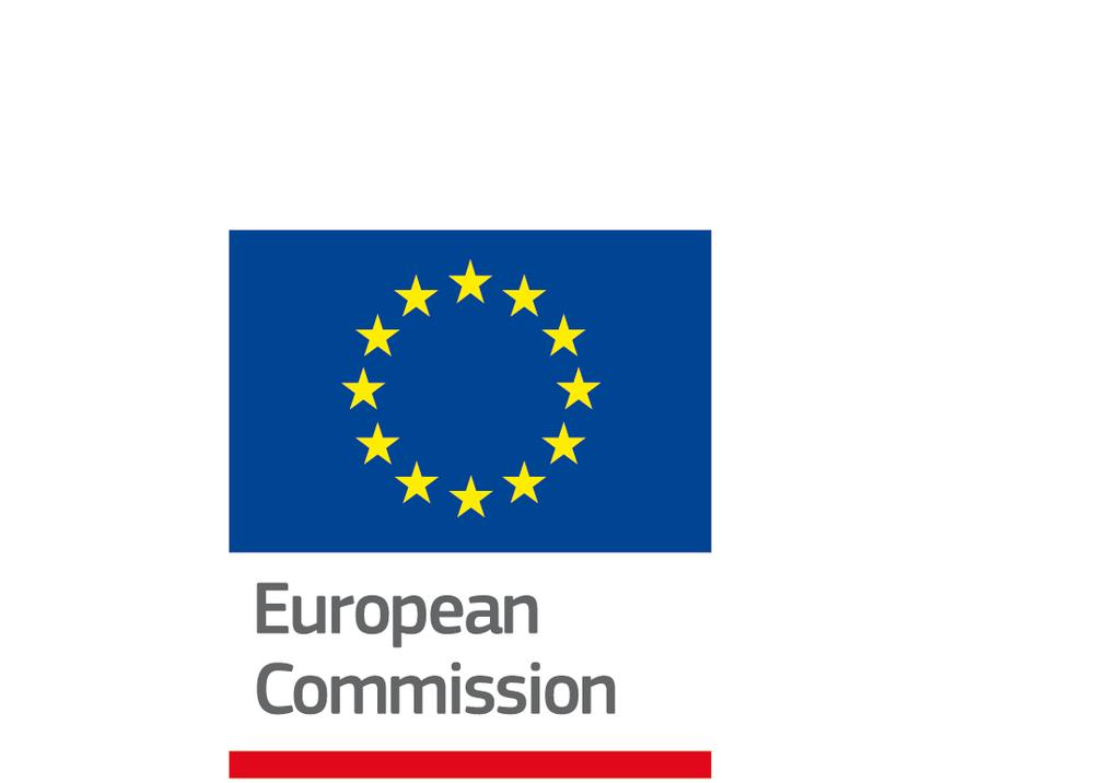 The euro area Survey requested by the European Commission, Directorate-General for Economic and