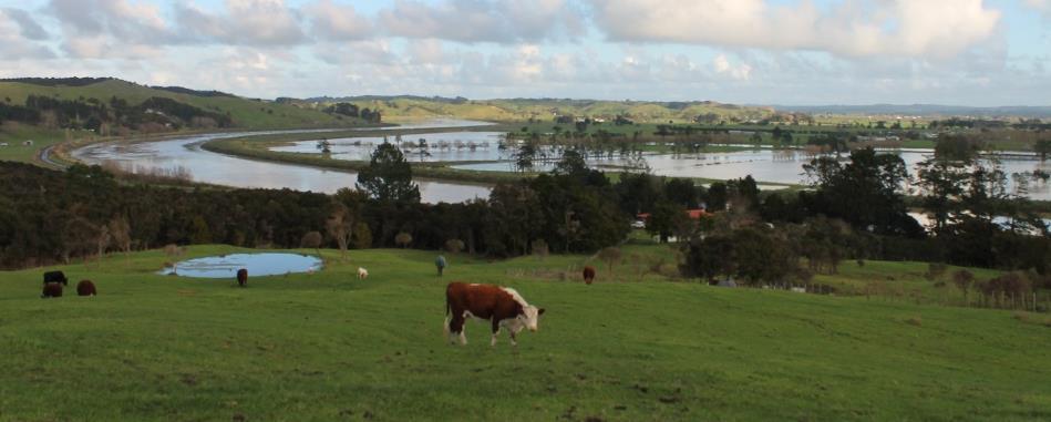 Kaipara where it s easy to live He Ngawari te Noho Flood protection and control works (including Raupo and the 28 defined land drainage schemes) Council works with the community to help manage Raupo