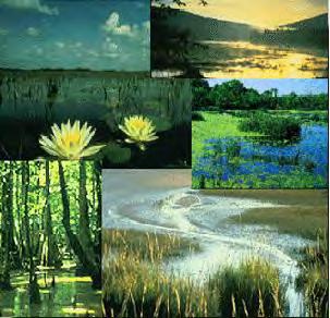 EO 11990- Protection of Wetlands Purpose is to avoid to the extent possible the long and short term adverse impacts associated with the