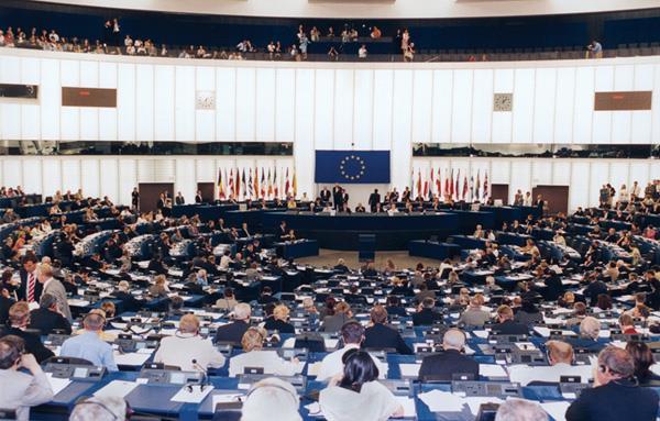 European Parliament Voice of Europeans 751