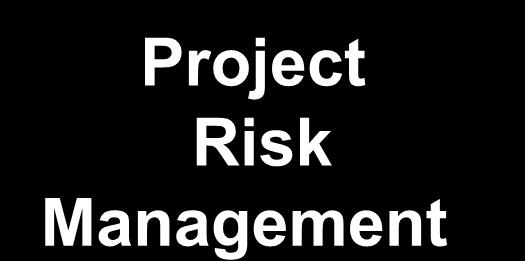 Analysis Perform Quantitative Risk Analysis Project