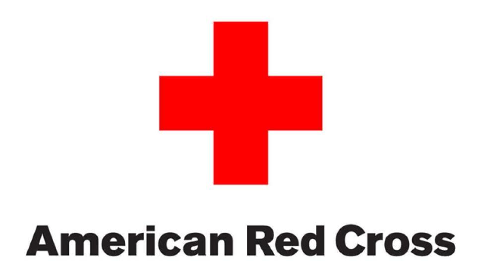 Check Card Fraud Check Card Fraud Deborah Leggio, former financial director for a New York Red Cross Chapter,