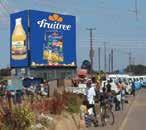 Exports Food and Bev Portfolio management Fruit Juice & 1 Food Focus on credit risk
