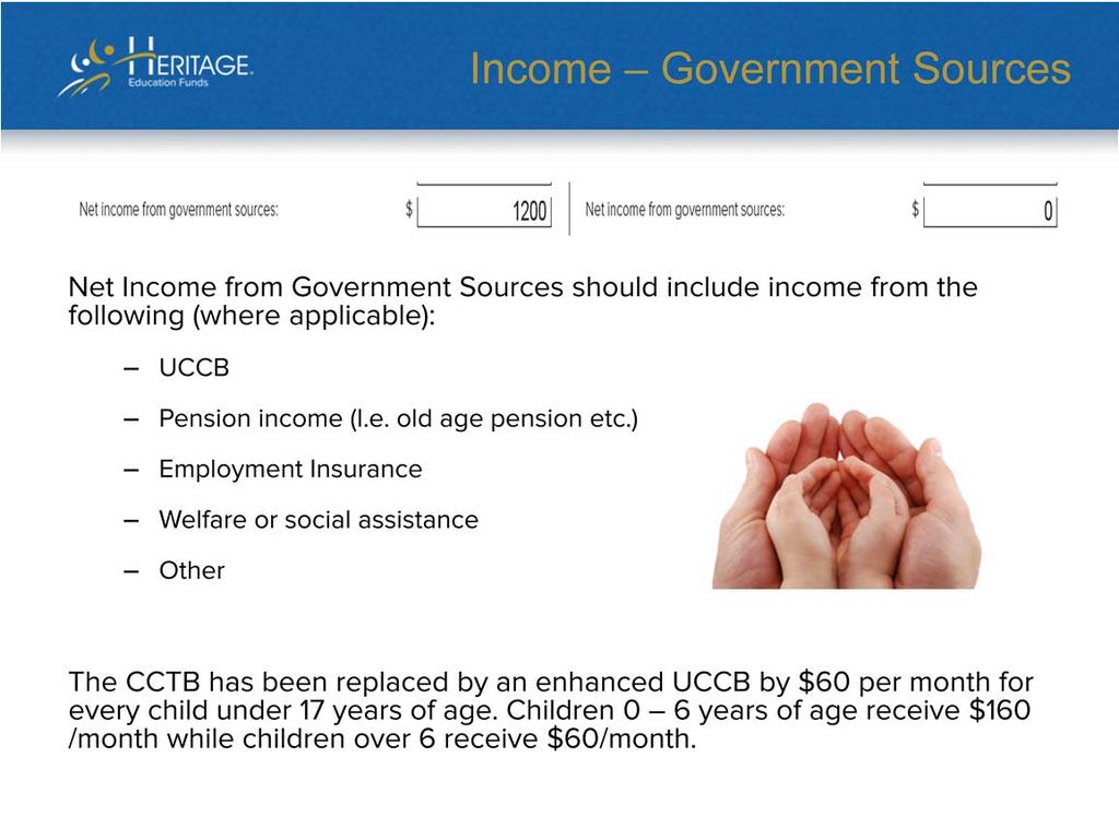 When income from government sources is included on the CIS Form, it is advisable to document what the amounts represents.