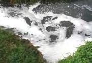 From the analysis, ammonia levels of the effluent had exceeded the Ministry of Health s (MOH s) Raw Water Criteria of 1.