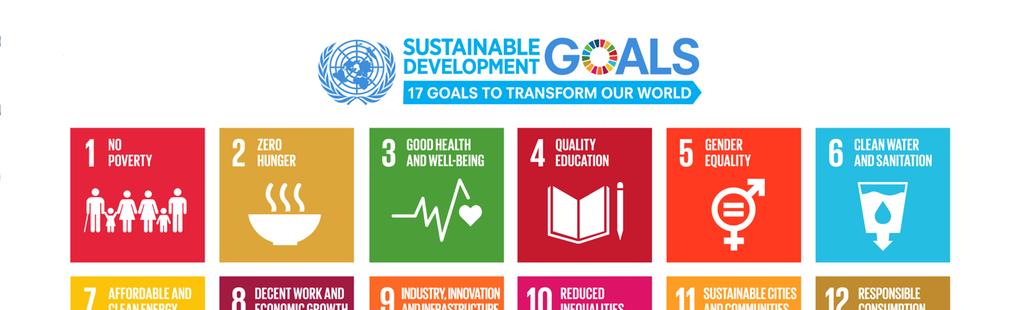 MDGs and