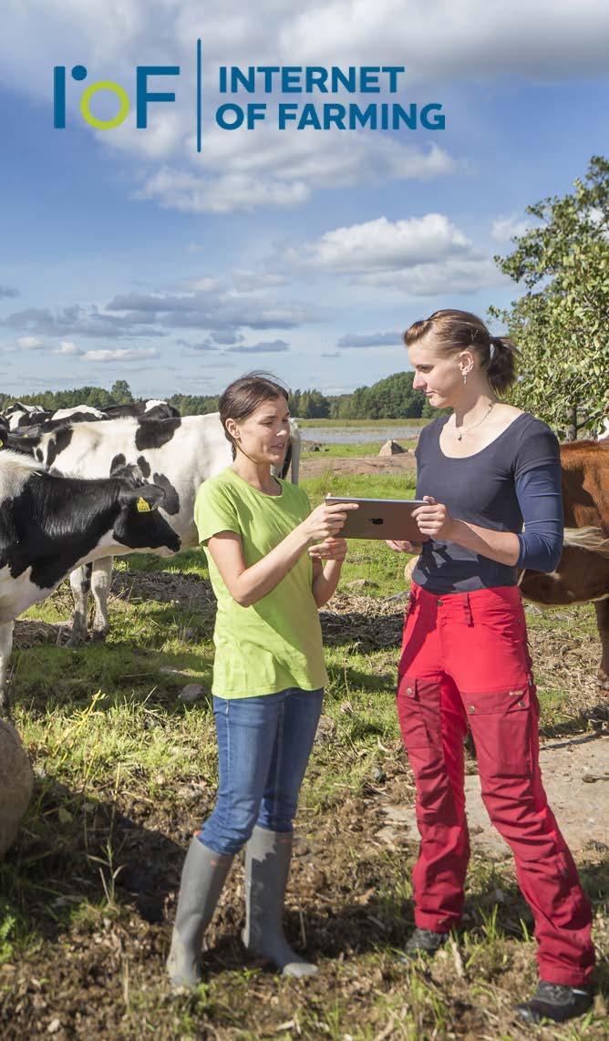 Internet of Farming and feeding expertise increasing the productivity of dairy farms Tuotostutka processes the milking