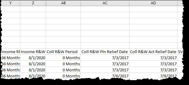 In the spreadsheet, a loan with collateral representation and warranty relief will indicate 0 Months in the Coll R&W Period field.