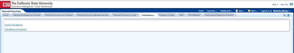 9.0 Trial Balance Report This section provides steps on how to run a Trial Balance report. The Trial Balance Report displays the account balances within the Fund. 1.