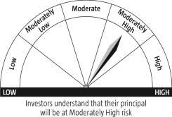 appreciation over long term Investing predominantly in equities and equity related instruments of
