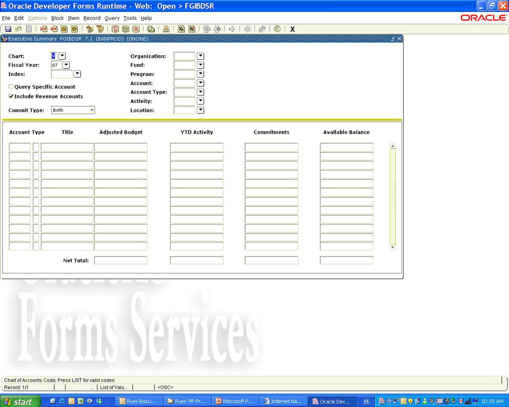 Executive Summary (FGIBDSR) Once the Executive Summary form is open, search criteria