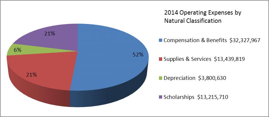 Plant operation and maintenance, as well as depreciation expense, were comparable to previous years. Scholarship increases were a combination of merit scholarships and federal program scholarships.