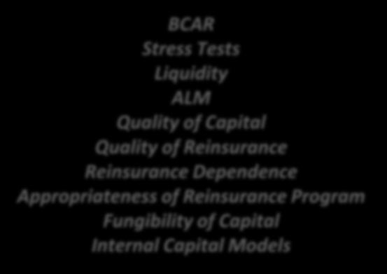 ALM Quality of Capital Quality of Reinsurance Reinsurance Dependence Appropriateness of