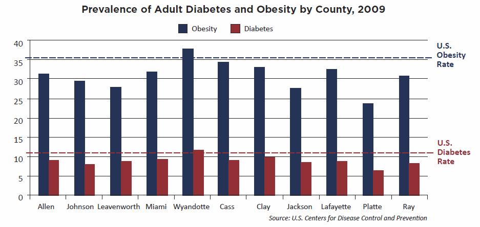 Health Conditions, Disparities, Trends Region is below the national average on obesity and