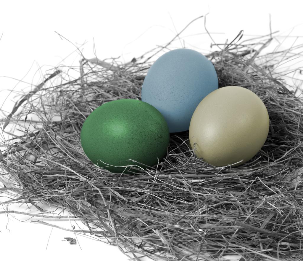 PROTECT YOUR NEST EGG MAXIMIZE