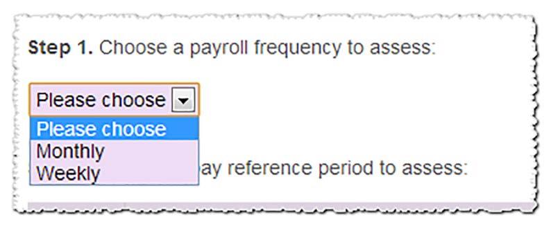 SELECT PAY REFERENCE PERIOD Before carrying out the assessment, you must select the pay reference period you wish to assess. Choose the frequency to assess 3.