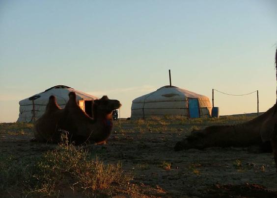 BACKGROUND Livestock Sector in Mongolia Agricultural sector: 22% of national GDP in the Mongolian economy Livestock sector: 87% of agricultural GDP Livestock husbandry supports ½ of the