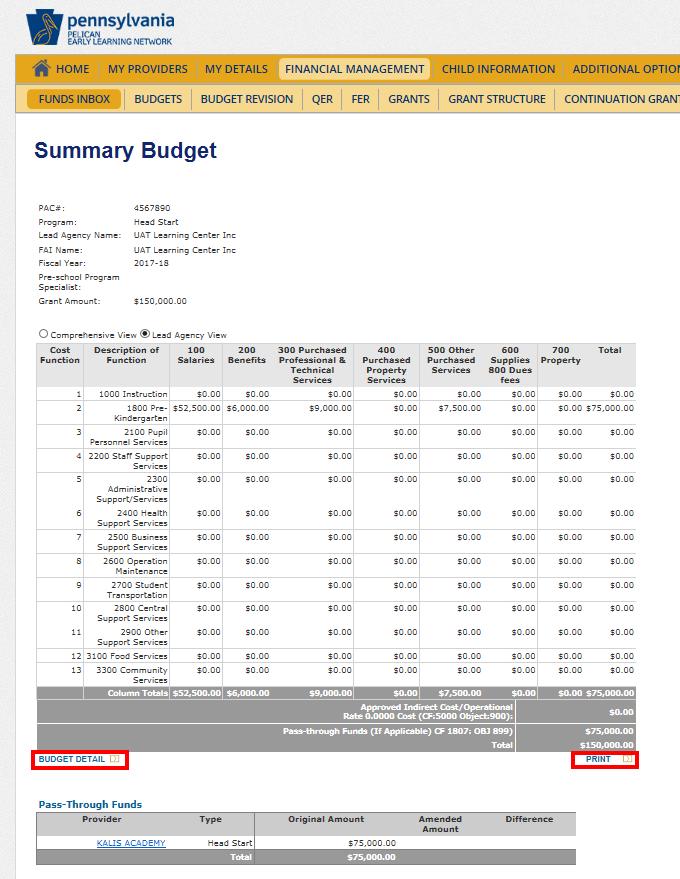 Figure 48 Summary Budget page Version