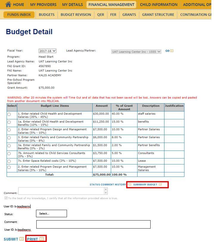 49. The Budget Detail page is displayed.