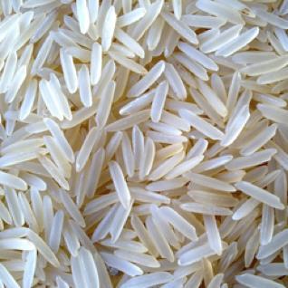 2. Global rice-paddy