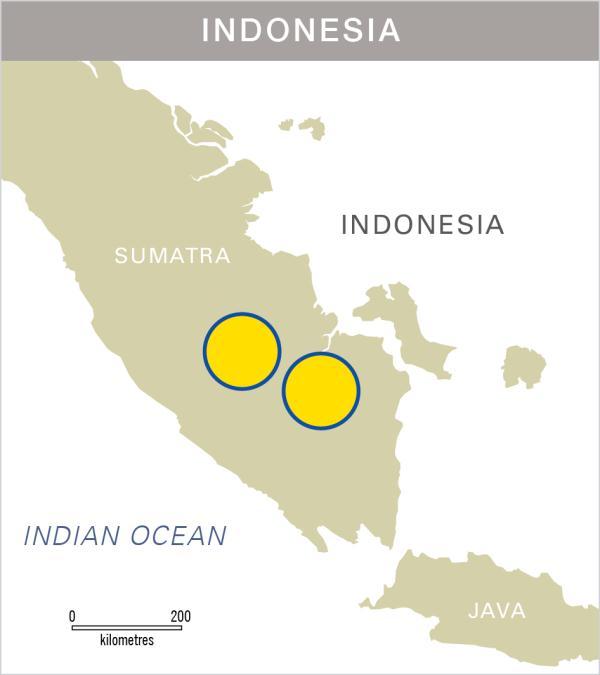 Indonesia Increased production & reserves Tangai workover Merangin