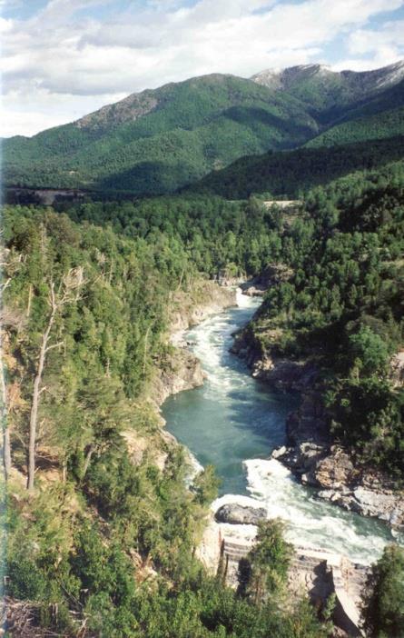 Case Study #1 : Pangue Hydro Pehuen Foundation First hydroelectric power plant on the Bio-Bio river in Chile (450MW) Bio Bio Watershed home to indigenous Pehuenche communities Pangue dam flooded