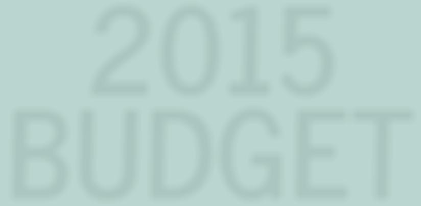 Vol. 2 Issue 1 2015 BUDGET A REVIEW OF