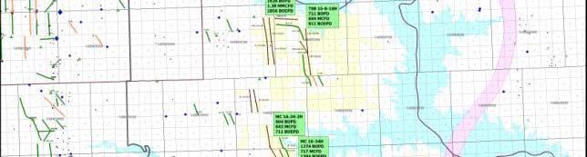 McCLEAN FBIR Lease Position as of 8/31/2009: 58,000 gross; 35,000 net acres Original 5-year lease