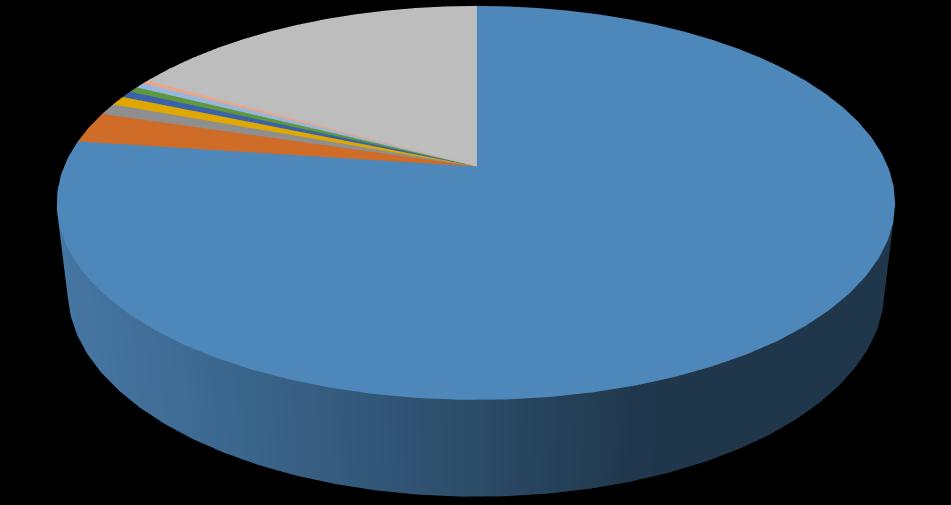 Shareholding Pattern (%) (31.12.2014) 0.46 0.29 VIVO ENERGY MAURITIUS HOLDINGS B.V. 0.77 0.93 2.55 0.47 0.56 16.82 NATIONAL PENSIONS FUND MR LIMBERG LAM PO TANG MR LIM KWAT CHOW LAM PO TANG 77.