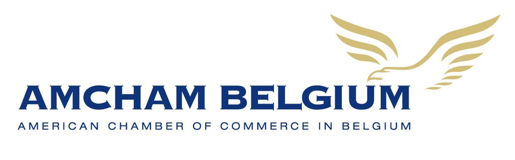 US Direct Investment in Belgium Report 2010 Study