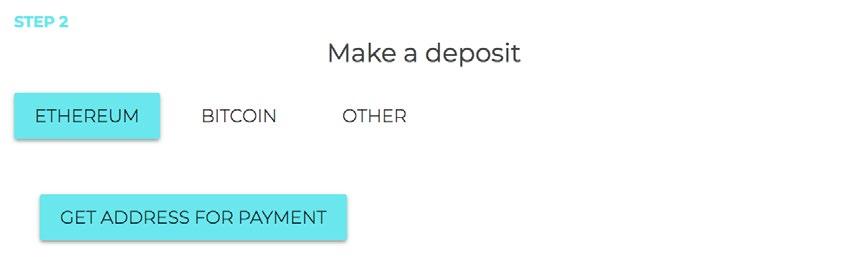 STEP 4. Make a deposit After you calculate how much you should pay for your portion of tokens, move on to the next step the deposit. There are three different options to make a deposit.