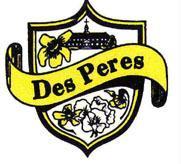 CITY OF DES PERES REQUEST FOR PROPOSAL AUDIT SERVICES & CAFR PREPARATION Bids To Be