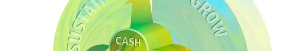 Sustainable Dividend BASE CASH FLOW
