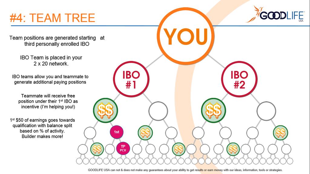 Team Tree The team tree offers a unique incentive for an IBO to generate multiple possitions below their original team tree position after enrolling their third (3 rd ) IBO and every second IBO