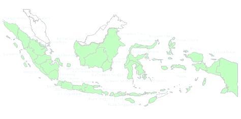 FACTS ON INDONESIA Population of Indonesia: approx. 220 million GDP per capita 2008: USD2.